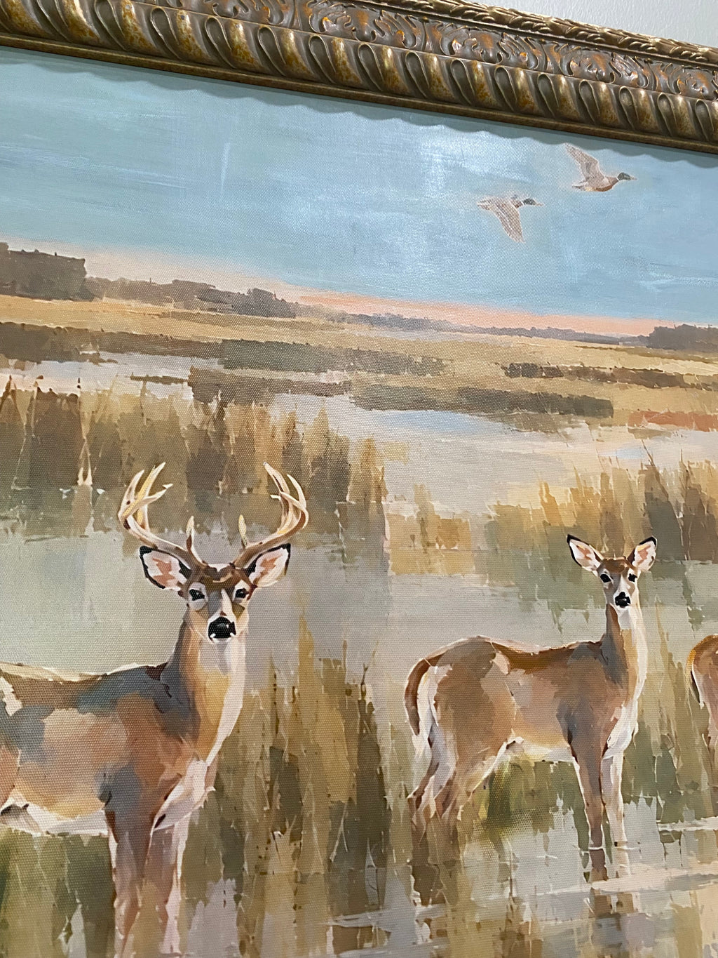 Opening Morning