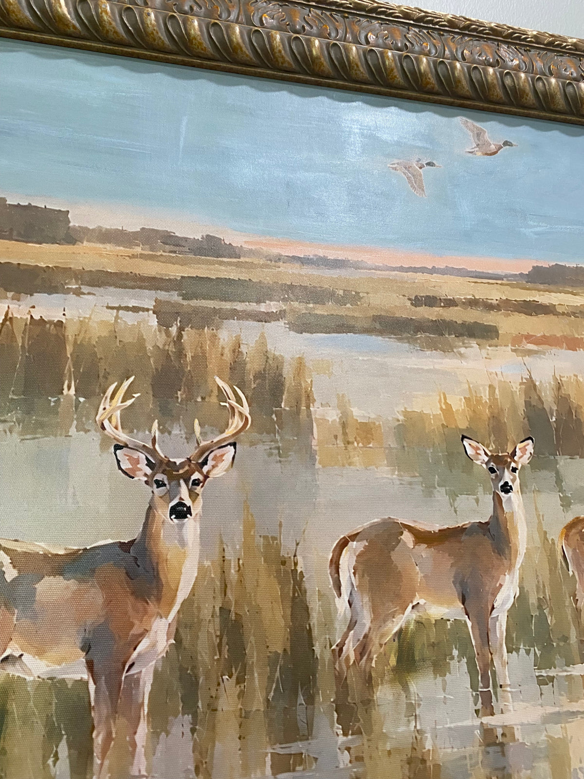 Opening Morning